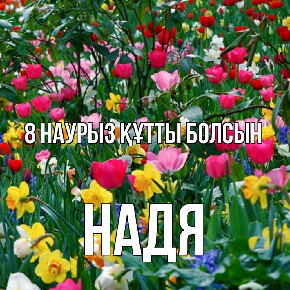 Күн сайын ашық хат с именем, Надя 8 наурыз құтты болсын с международным женским днем поздравления для женщины Онлайн тегін жүктеп алу тілектері бар керемет карта 
