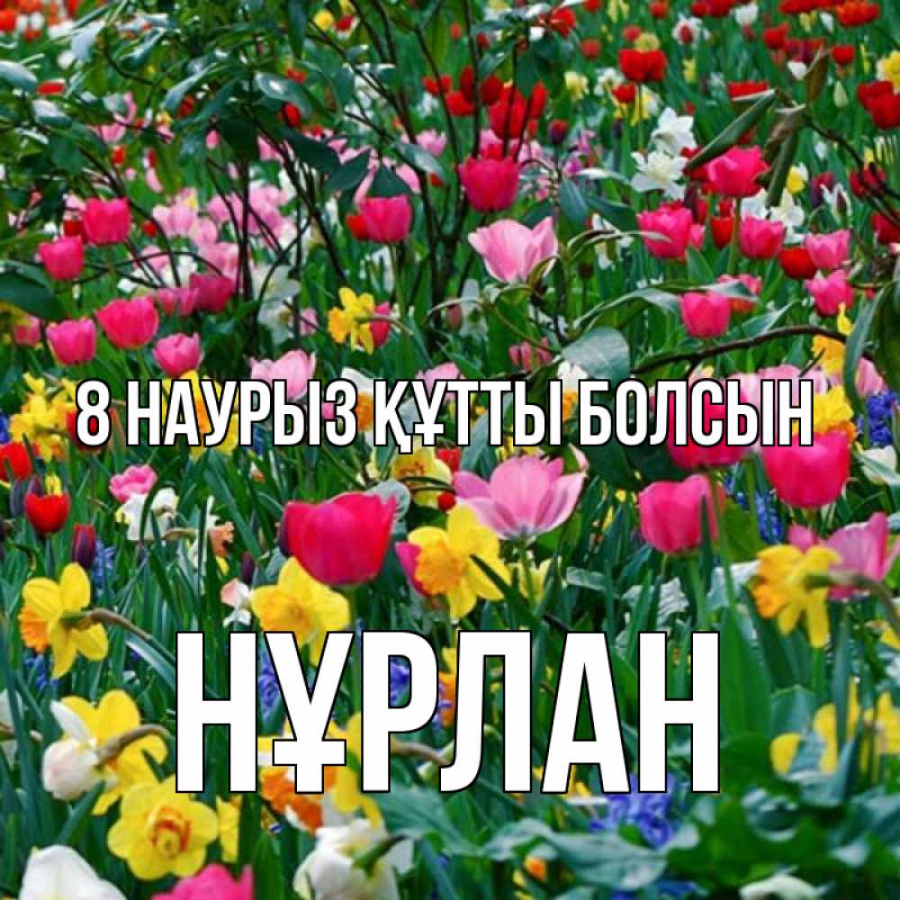 Күн сайын ашық хат с именем, НҰРЛАН 8 наурыз құтты болсын с международным женским днем поздравления для женщины Онлайн тегін жүктеп алу тілектері бар керемет карта 