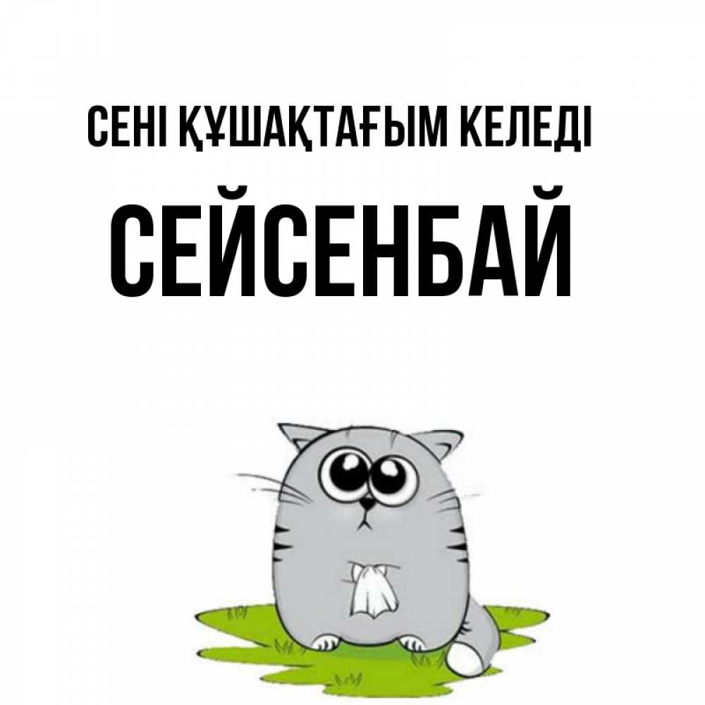 Күн сайын ашық хат с именем, СЕЙСЕНБАЙ сені құшақтағым келеді котик теребит платочек сидя на травке Онлайн тегін жүктеп алу тілектері бар керемет карта 