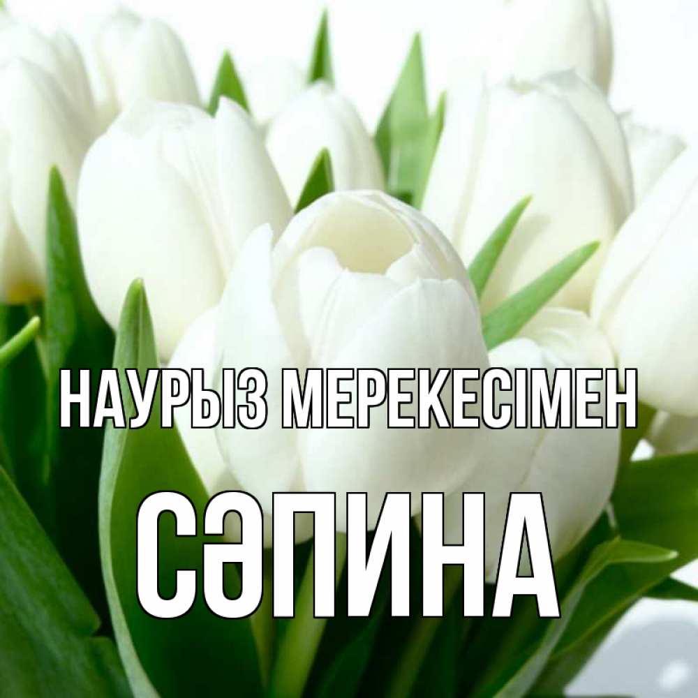 Күн сайын ашық хат с именем, СӘПИНА Наурыз мерекесімен цветы Онлайн тегін жүктеп алу тілектері бар керемет карта 