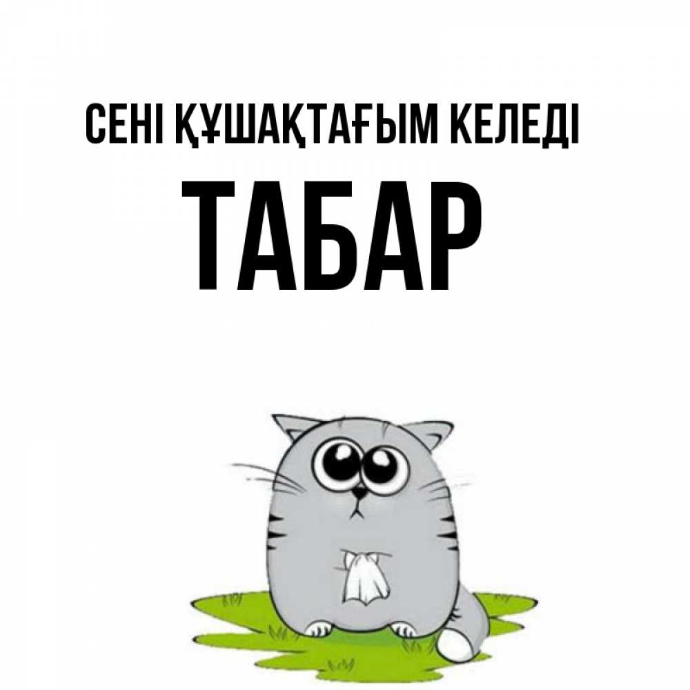 Күн сайын ашық хат с именем, ТАБАР сені құшақтағым келеді котик теребит платочек сидя на травке Онлайн тегін жүктеп алу тілектері бар керемет карта 