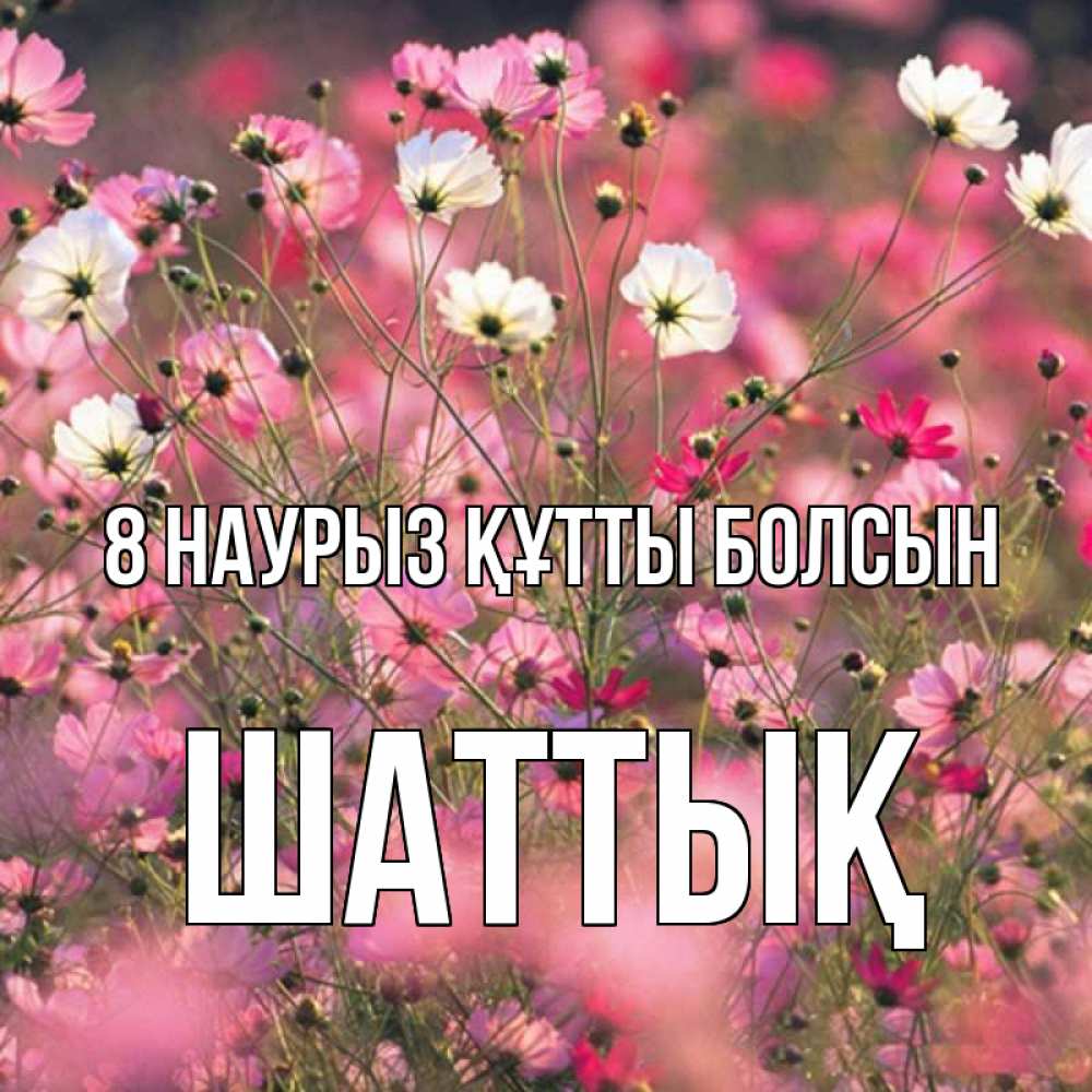Күн сайын ашық хат с именем, ШАТТЫҚ 8 наурыз құтты болсын красиво 1 Онлайн тегін жүктеп алу тілектері бар керемет карта 