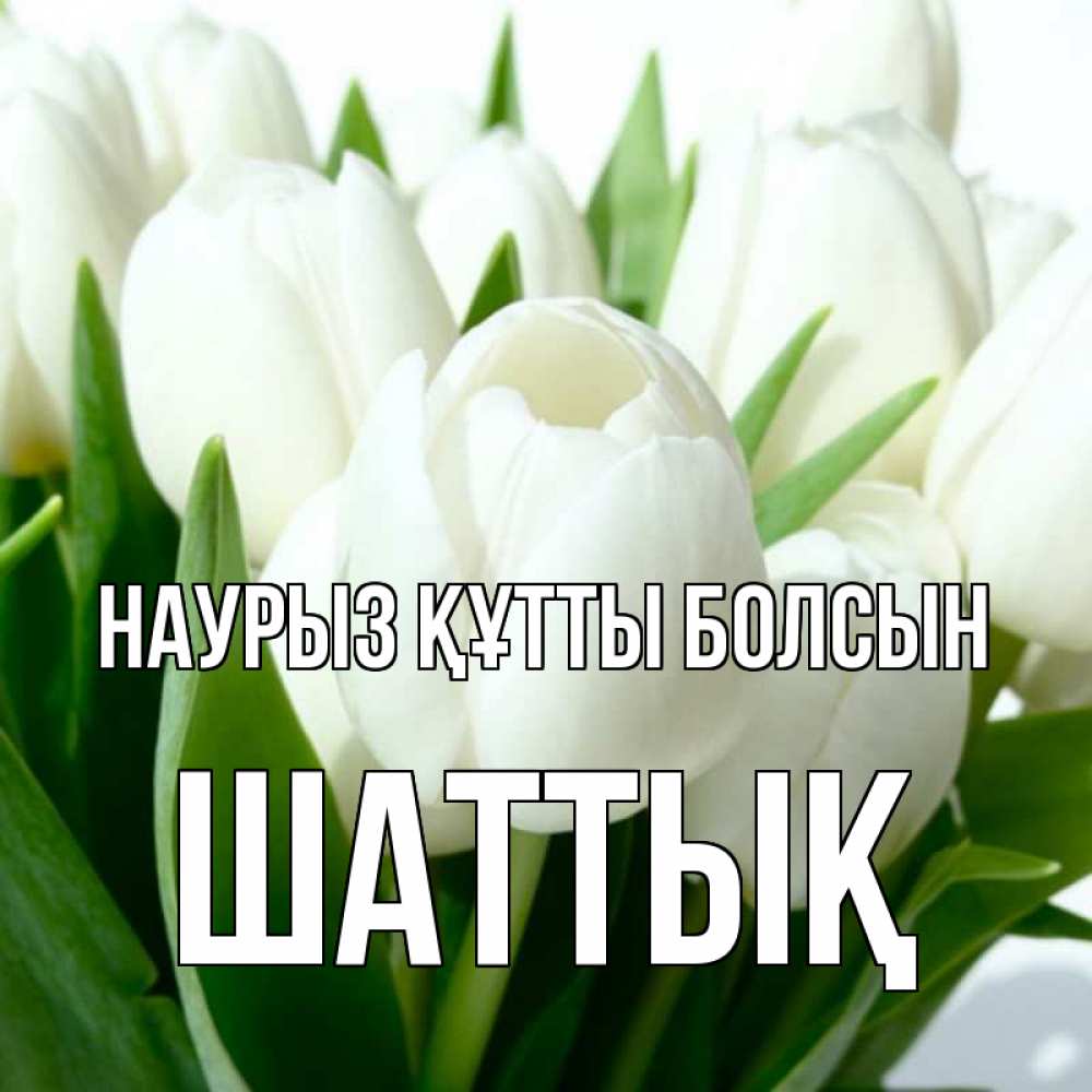 Күн сайын ашық хат с именем, ШАТТЫҚ Наурыз құтты болсын цветы Онлайн тегін жүктеп алу тілектері бар керемет карта 