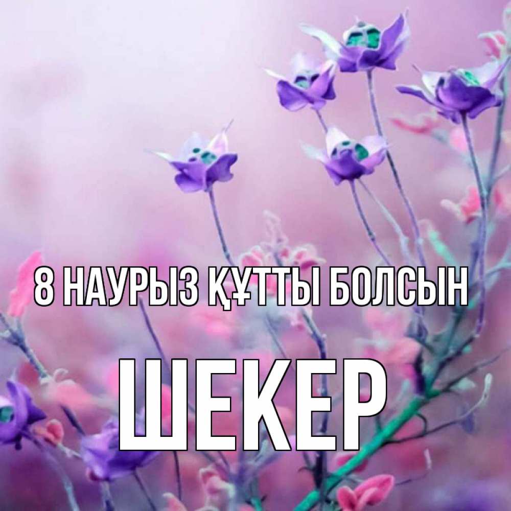 Күн сайын ашық хат с именем, ШЕКЕР 8 наурыз құтты болсын международный женский день 2 Онлайн тегін жүктеп алу тілектері бар керемет карта 