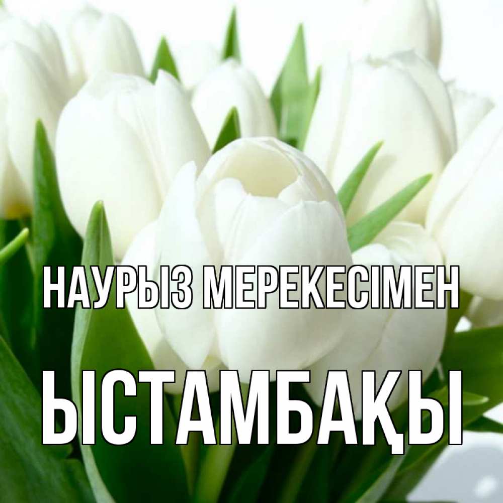 Күн сайын ашық хат с именем, ЫСТАМБАҚЫ Наурыз мерекесімен цветы Онлайн тегін жүктеп алу тілектері бар керемет карта 