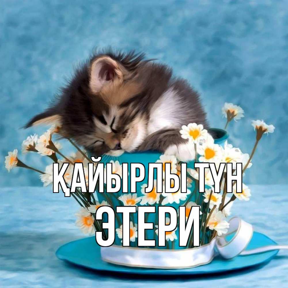 Күн сайын ашық хат с именем, Этери Қайырлы түн котенок спит в кружке с блюдцем Онлайн тегін жүктеп алу тілектері бар керемет карта 