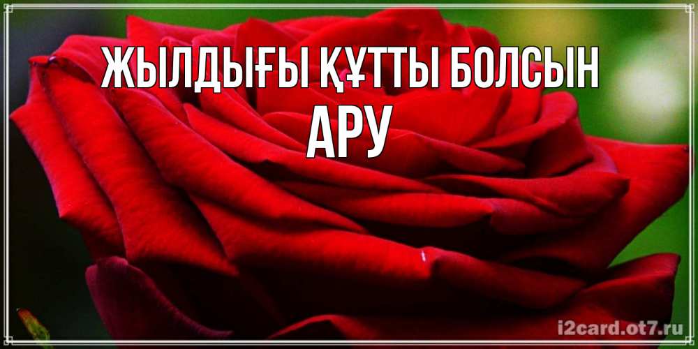 Күн сайын ашық хат с именем, АРУ Жылдығы құтты болсын розочка очень красивая Онлайн тегін жүктеп алу тілектері бар керемет карта 