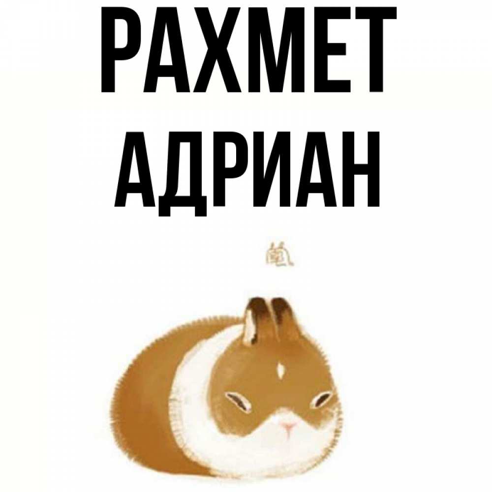 Күн сайын ашық хат с именем, Адриан рахмет коричнево белый домашний питомец Онлайн тегін жүктеп алу тілектері бар керемет карта 