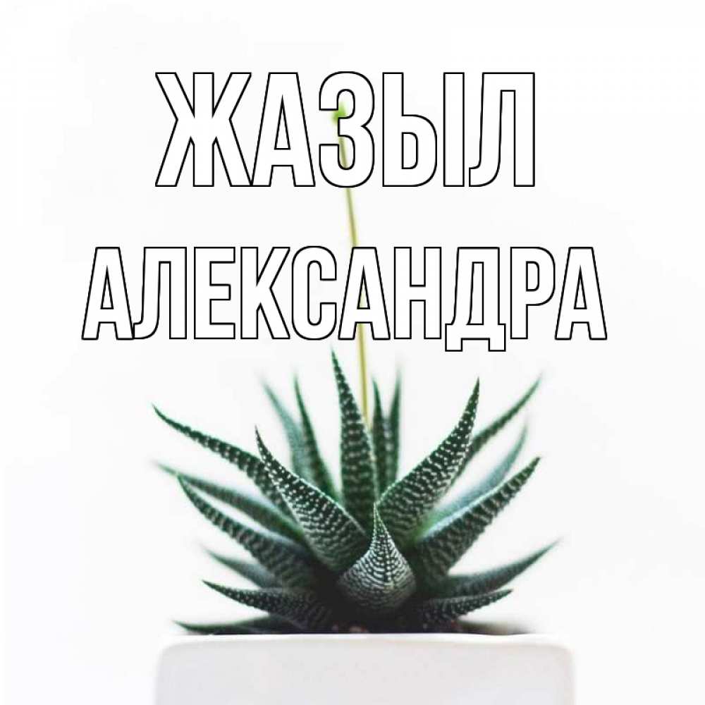 Күн сайын ашық хат с именем, Александра Жазыл короче это непонятная колючка Онлайн тегін жүктеп алу тілектері бар керемет карта 