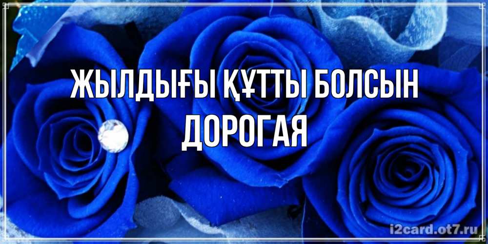 Күн сайын ашық хат с именем, Дорогая Жылдығы құтты болсын синие розы в росе Онлайн тегін жүктеп алу тілектері бар керемет карта 