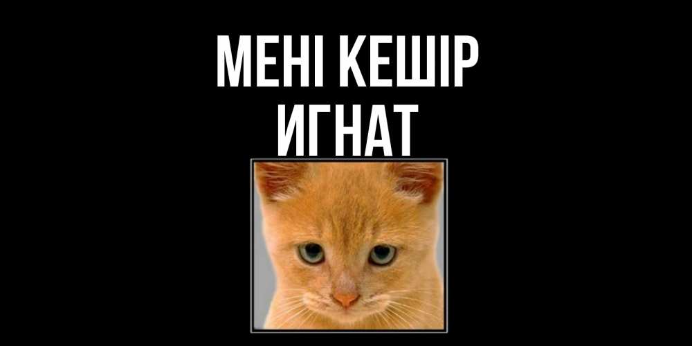 Күн сайын ашық хат с именем, Игнат Мені кешір рыжий грустный кот просит прощения Онлайн тегін жүктеп алу тілектері бар керемет карта 