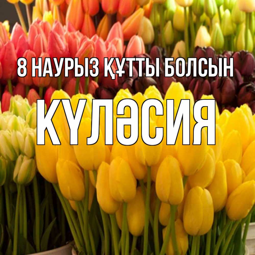 Күн сайын ашық хат с именем, КҮЛӘСИЯ 8 наурыз құтты болсын цветы Онлайн тегін жүктеп алу тілектері бар керемет карта 