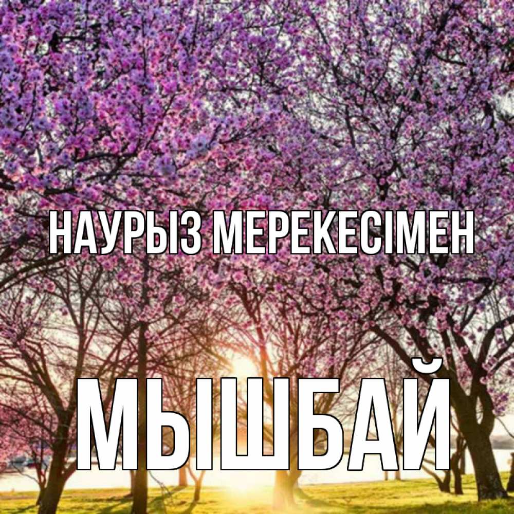 Күн сайын ашық хат с именем, МЫШБАЙ Наурыз мерекесімен праздник весны наурыз Онлайн тегін жүктеп алу тілектері бар керемет карта 