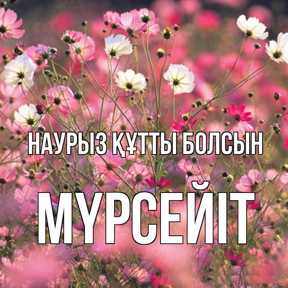 Күн сайын ашық хат с именем, МҮРСЕЙІТ Наурыз құтты болсын красиво 1 Онлайн тегін жүктеп алу тілектері бар керемет карта 