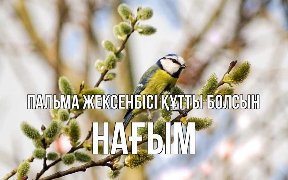 Күн сайын ашық хат с именем, НАҒЫМ Пальма жексенбісі құтты болсын верба Онлайн тегін жүктеп алу тілектері бар керемет карта 