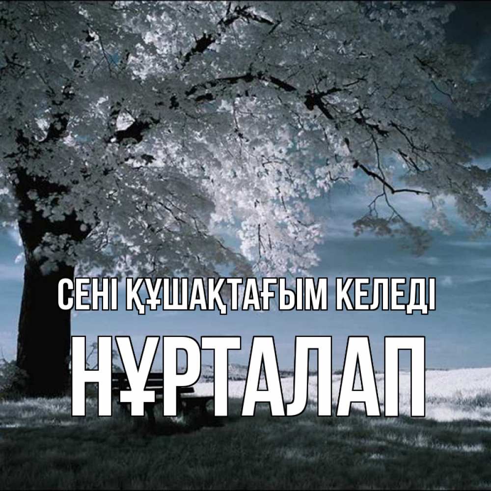 Күн сайын ашық хат с именем, НҰРТАЛАП сені құшақтағым келеді дерево Онлайн тегін жүктеп алу тілектері бар керемет карта 