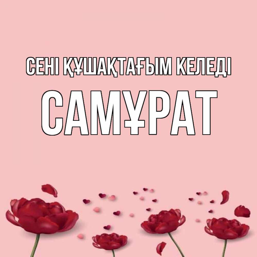 Күн сайын ашық хат с именем, САМҰРАТ сені құшақтағым келеді бесплатно Онлайн тегін жүктеп алу тілектері бар керемет карта 
