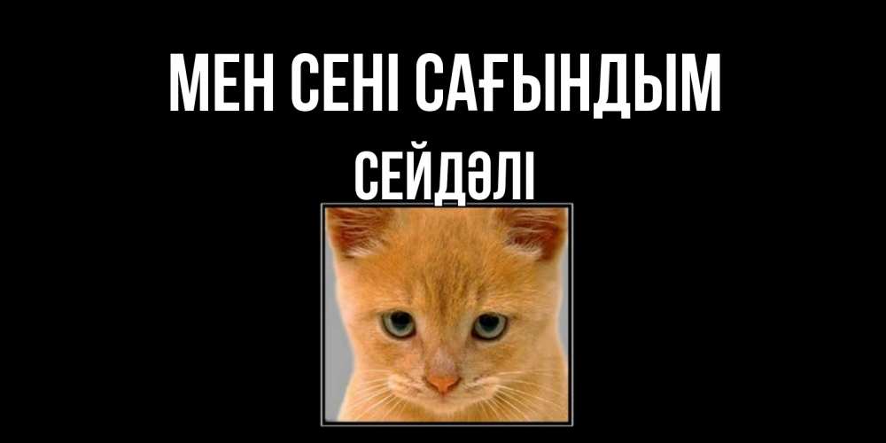 Күн сайын ашық хат с именем, СЕЙДӘЛІ Мен сені сағындым открытки рыжий котенок скучает по тебе Онлайн тегін жүктеп алу тілектері бар керемет карта 