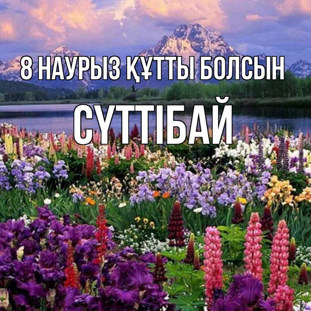 Күн сайын ашық хат с именем, СҮТТІБАЙ 8 наурыз құтты болсын международный женский день Онлайн тегін жүктеп алу тілектері бар керемет карта 