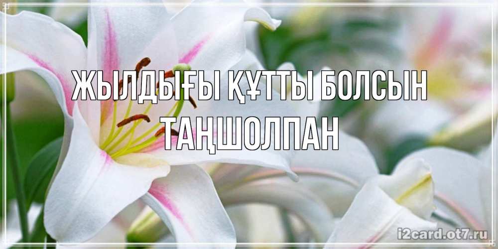 Күн сайын ашық хат с именем, ТАҢШОЛПАН Жылдығы құтты болсын открытка с белой лилией Онлайн тегін жүктеп алу тілектері бар керемет карта 