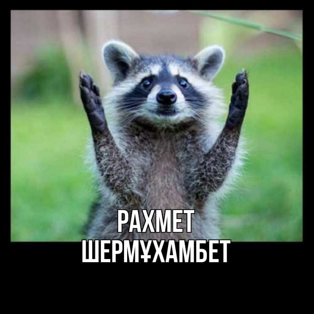 Күн сайын ашық хат с именем, ШЕРМҰХАМБЕТ рахмет милые животные Онлайн тегін жүктеп алу тілектері бар керемет карта 