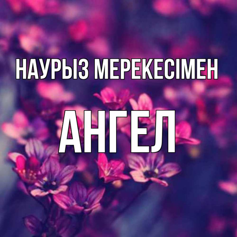 Күн сайын ашық хат с именем, Ангел Наурыз мерекесімен небольшие цветы 1 Онлайн тегін жүктеп алу тілектері бар керемет карта 