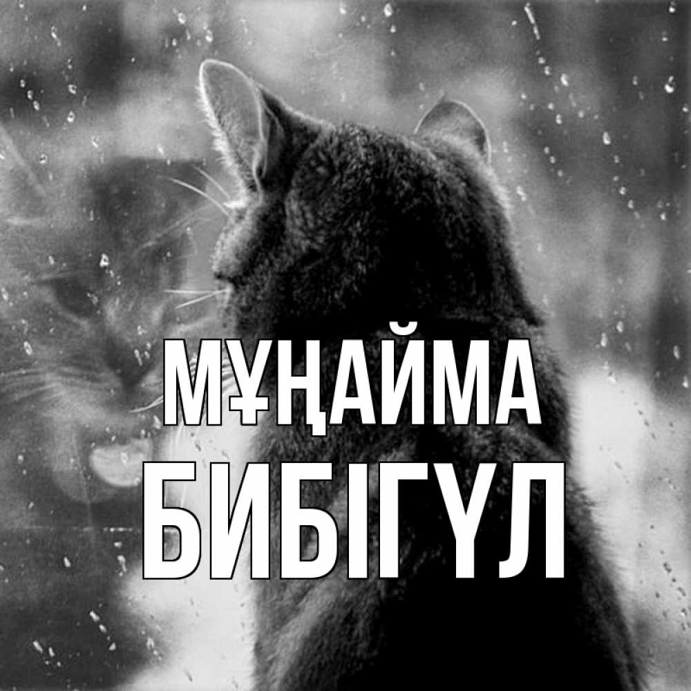 Күн сайын ашық хат с именем, БИБІГҮЛ Мұңайма отражение кота 1 Онлайн тегін жүктеп алу тілектері бар керемет карта 