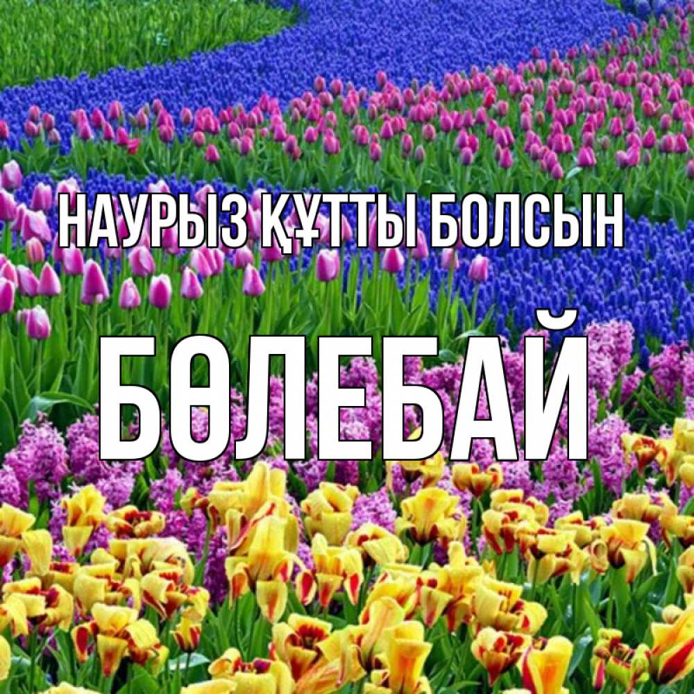Күн сайын ашық хат с именем, Бөлебай Наурыз құтты болсын цветы Онлайн тегін жүктеп алу тілектері бар керемет карта 