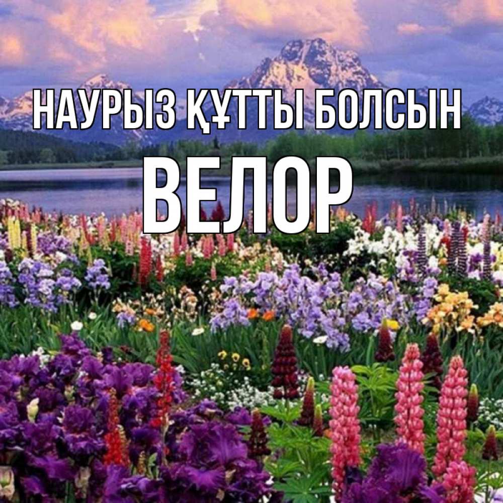 Күн сайын ашық хат с именем, Велор Наурыз құтты болсын наурыз Онлайн тегін жүктеп алу тілектері бар керемет карта 