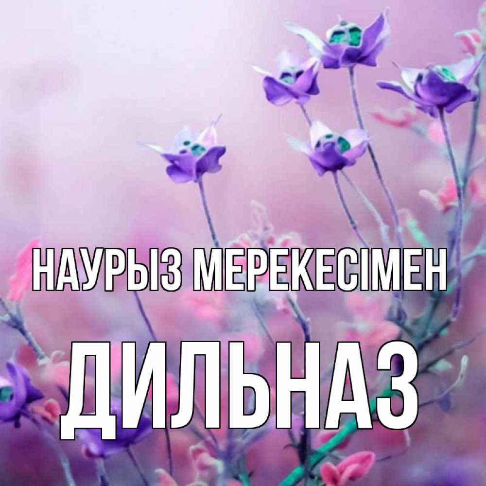 Күн сайын ашық хат с именем, ДИЛЬНАЗ Наурыз мерекесімен международный женский день 2 Онлайн тегін жүктеп алу тілектері бар керемет карта 