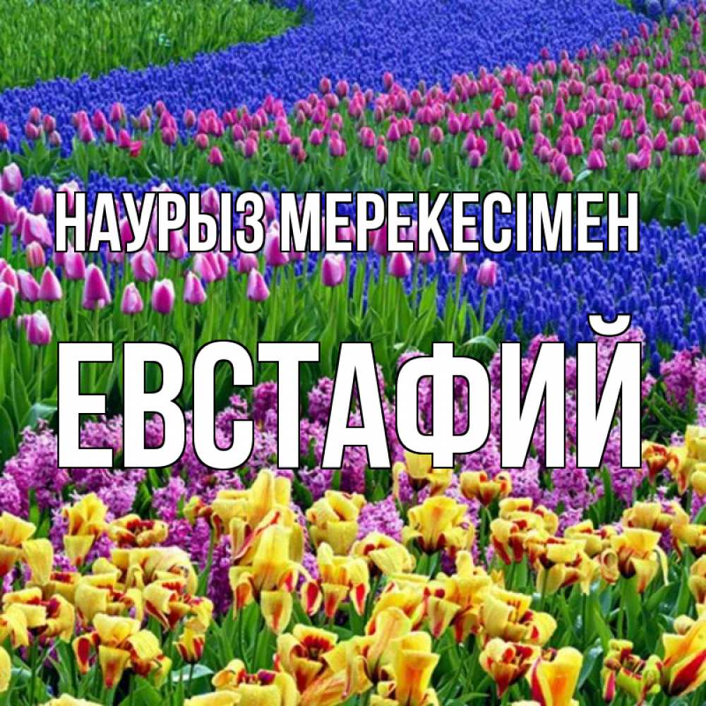 Күн сайын ашық хат с именем, Евстафий Наурыз мерекесімен цветы Онлайн тегін жүктеп алу тілектері бар керемет карта 