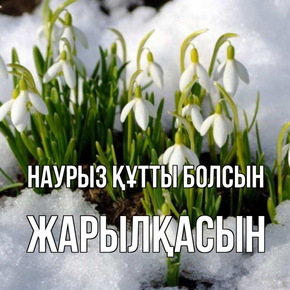 Күн сайын ашық хат с именем, Жарылқасын Наурыз құтты болсын цветы весенние Онлайн тегін жүктеп алу тілектері бар керемет карта 