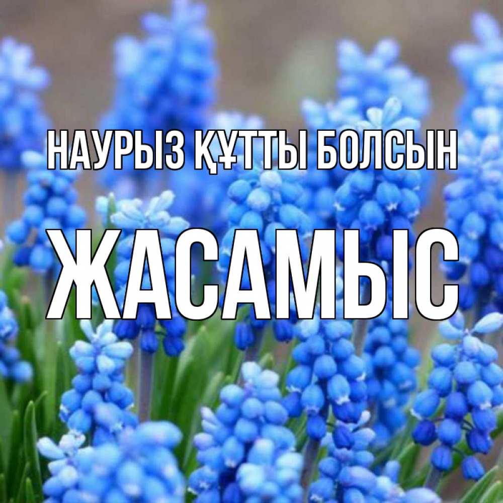 Күн сайын ашық хат с именем, Жасамыс Наурыз құтты болсын Поздравительная открытка для женщин с цветами на праздничную дату Онлайн тегін жүктеп алу тілектері бар керемет карта 