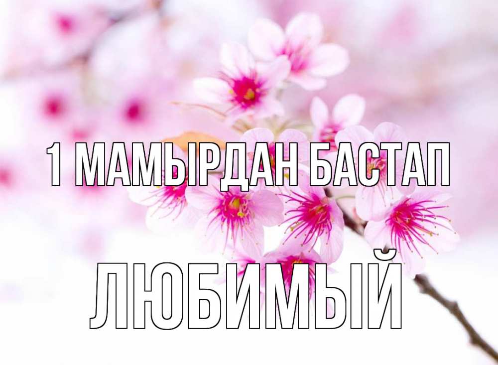 Күн сайын ашық хат с именем, Любимый 1 мамырдан бастап С 1 мая 2 Онлайн тегін жүктеп алу тілектері бар керемет карта 