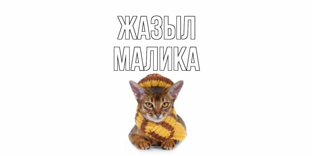 Күн сайын ашық хат с именем, Малика Жазыл родные не болейте Онлайн тегін жүктеп алу тілектері бар керемет карта 