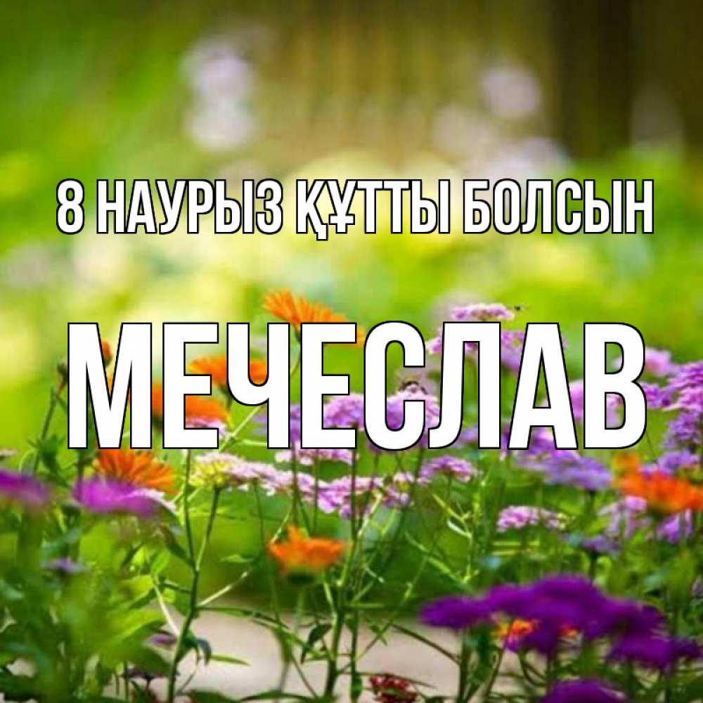 Күн сайын ашық хат с именем, Мечеслав 8 наурыз құтты болсын цветы Онлайн тегін жүктеп алу тілектері бар керемет карта 