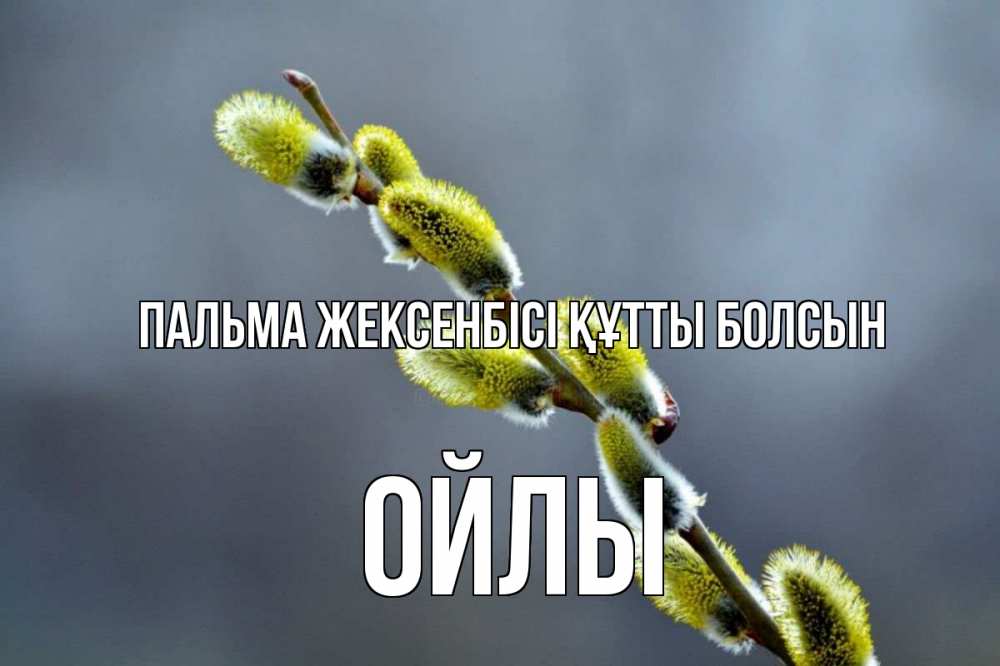 Күн сайын ашық хат с именем, ОЙЛЫ Пальма жексенбісі құтты болсын верба Онлайн тегін жүктеп алу тілектері бар керемет карта 