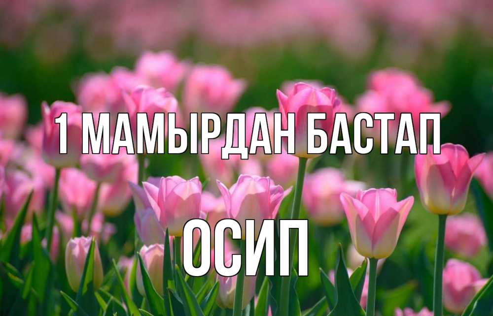 Күн сайын ашық хат с именем, Осип 1 мамырдан бастап С 1 мая Онлайн тегін жүктеп алу тілектері бар керемет карта 