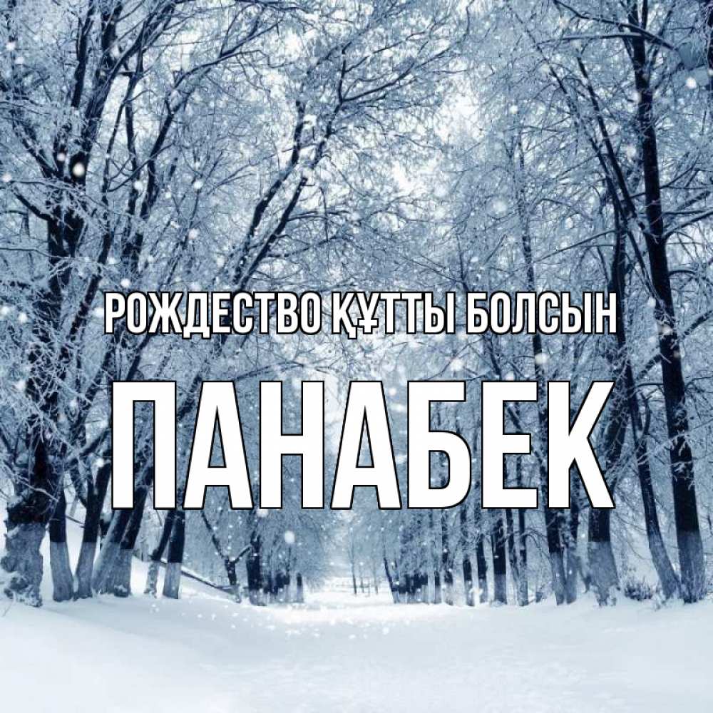 Күн сайын ашық хат с именем, ПАНАБЕК Рождество құтты болсын снег, лес, парк Онлайн тегін жүктеп алу тілектері бар керемет карта 