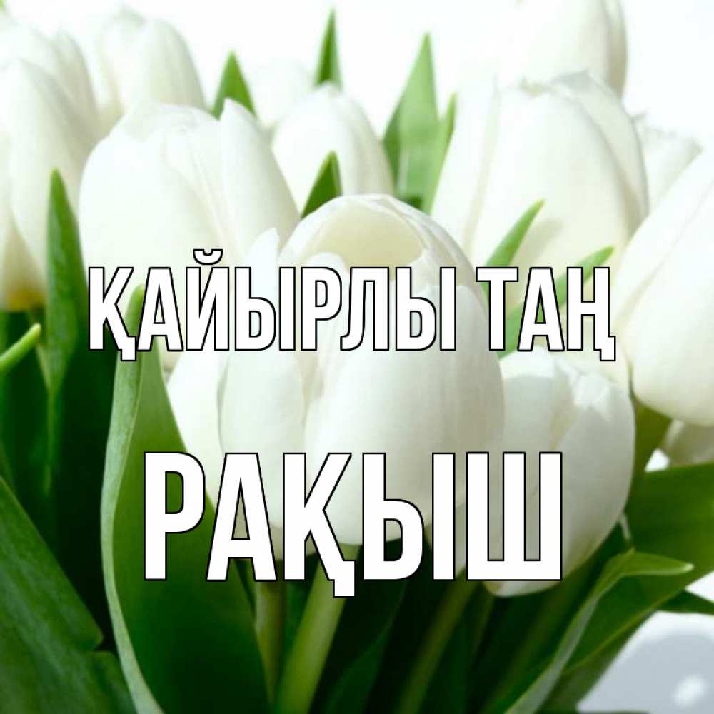 Күн сайын ашық хат с именем, Рақыш Қайырлы таң открытки на каждый день по именам Онлайн тегін жүктеп алу тілектері бар керемет карта 