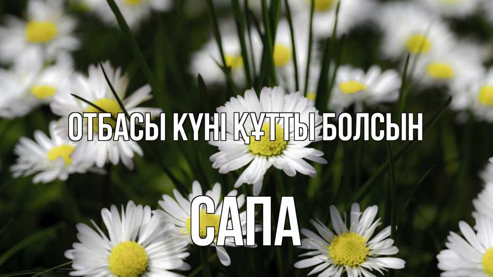 Күн сайын ашық хат с именем, САПА отбасы күні құтты болсын с днем семьи  2 Онлайн тегін жүктеп алу тілектері бар керемет карта 