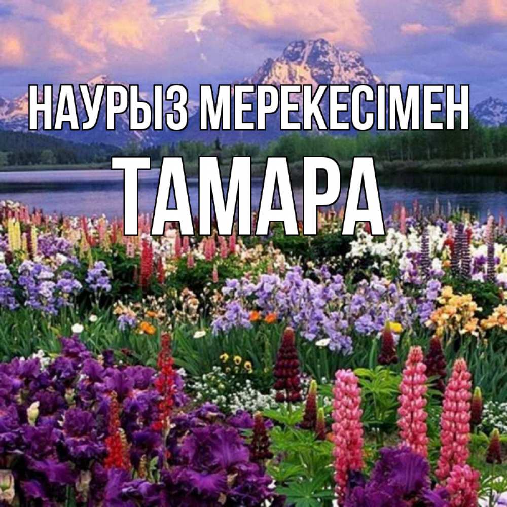 Күн сайын ашық хат с именем, ТАМАРА Наурыз мерекесімен праздник весны наурыз Онлайн тегін жүктеп алу тілектері бар керемет карта 