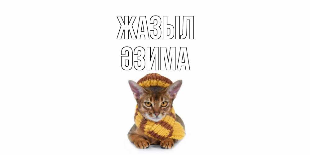 Күн сайын ашық хат с именем, ӘЗИМА Жазыл родные не болейте Онлайн тегін жүктеп алу тілектері бар керемет карта 