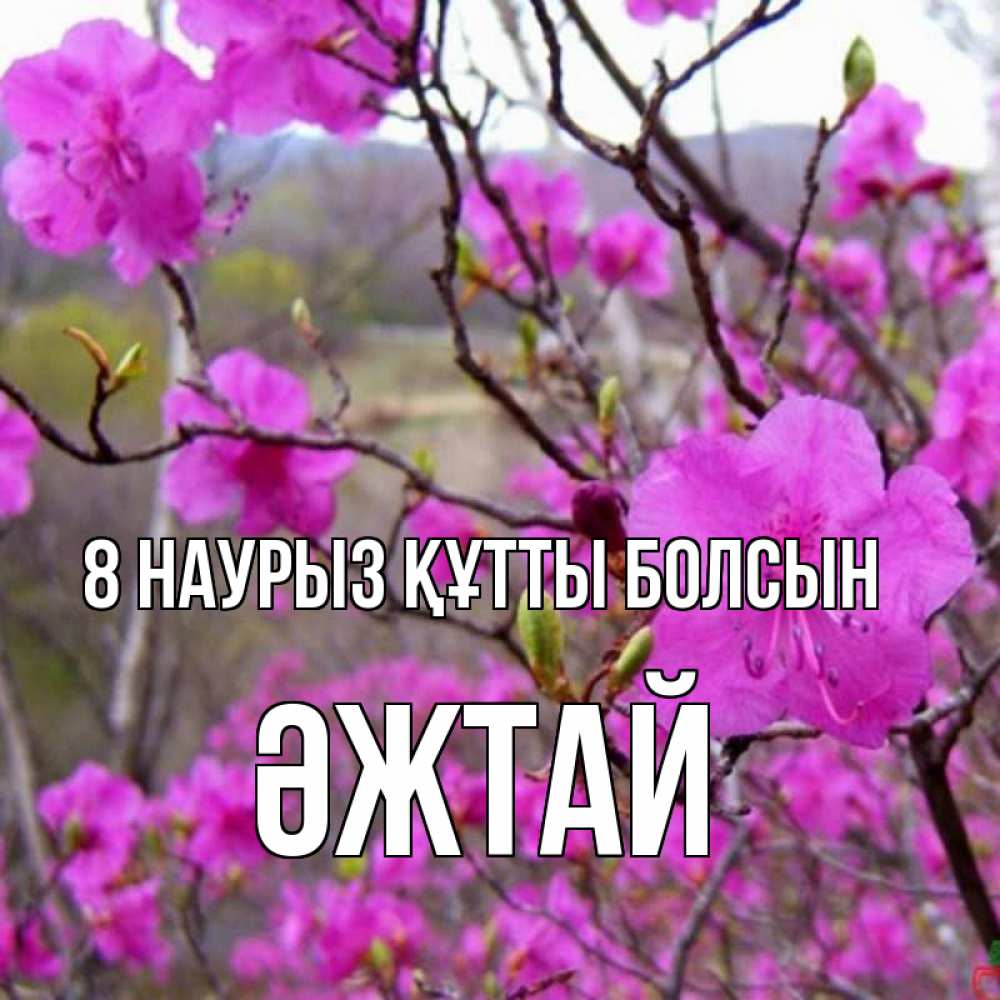 Күн сайын ашық хат с именем, Әжтай 8 наурыз құтты болсын международный женский день Онлайн тегін жүктеп алу тілектері бар керемет карта 