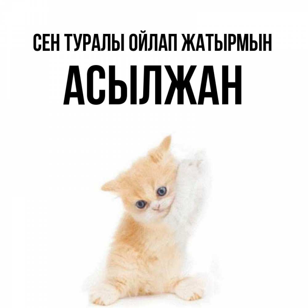 Күн сайын ашық хат с именем, Асылжан Сен туралы ойлап жатырмын зверушки и милота Онлайн тегін жүктеп алу тілектері бар керемет карта 