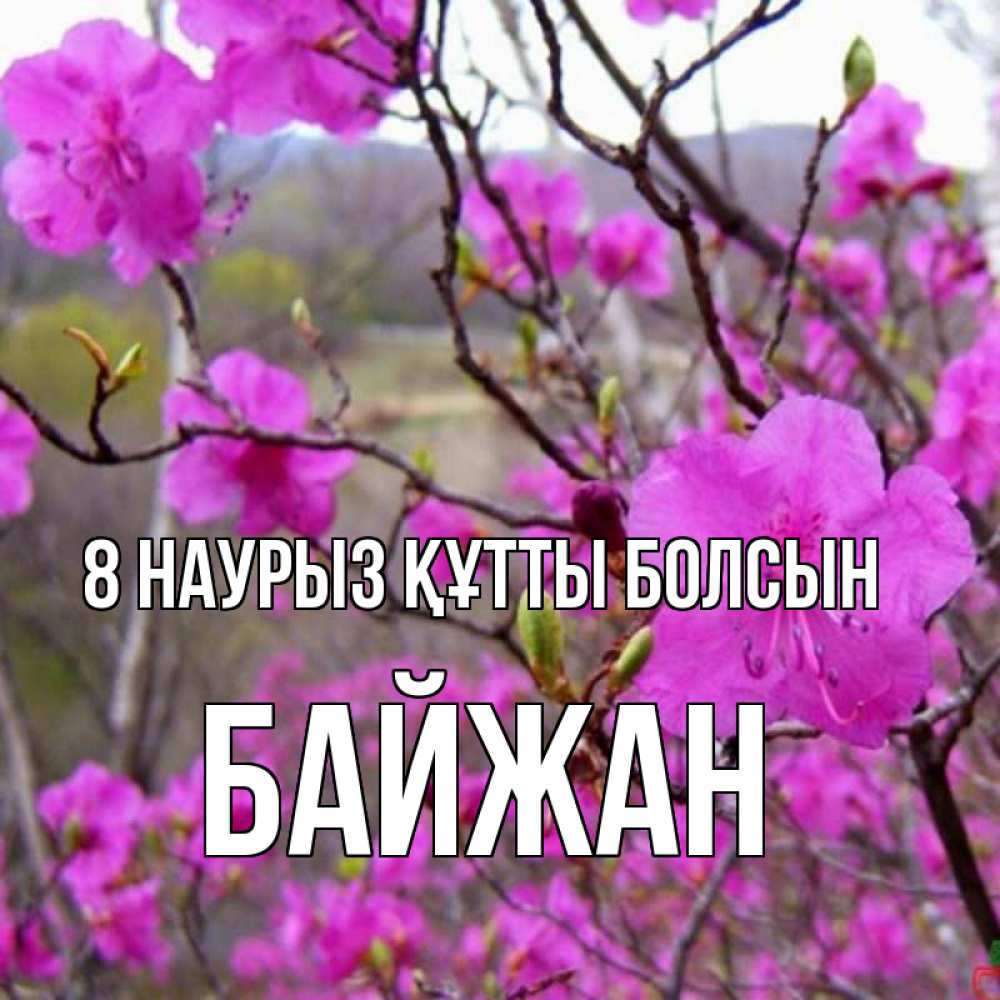 Күн сайын ашық хат с именем, Байжан 8 наурыз құтты болсын международный женский день Онлайн тегін жүктеп алу тілектері бар керемет карта 