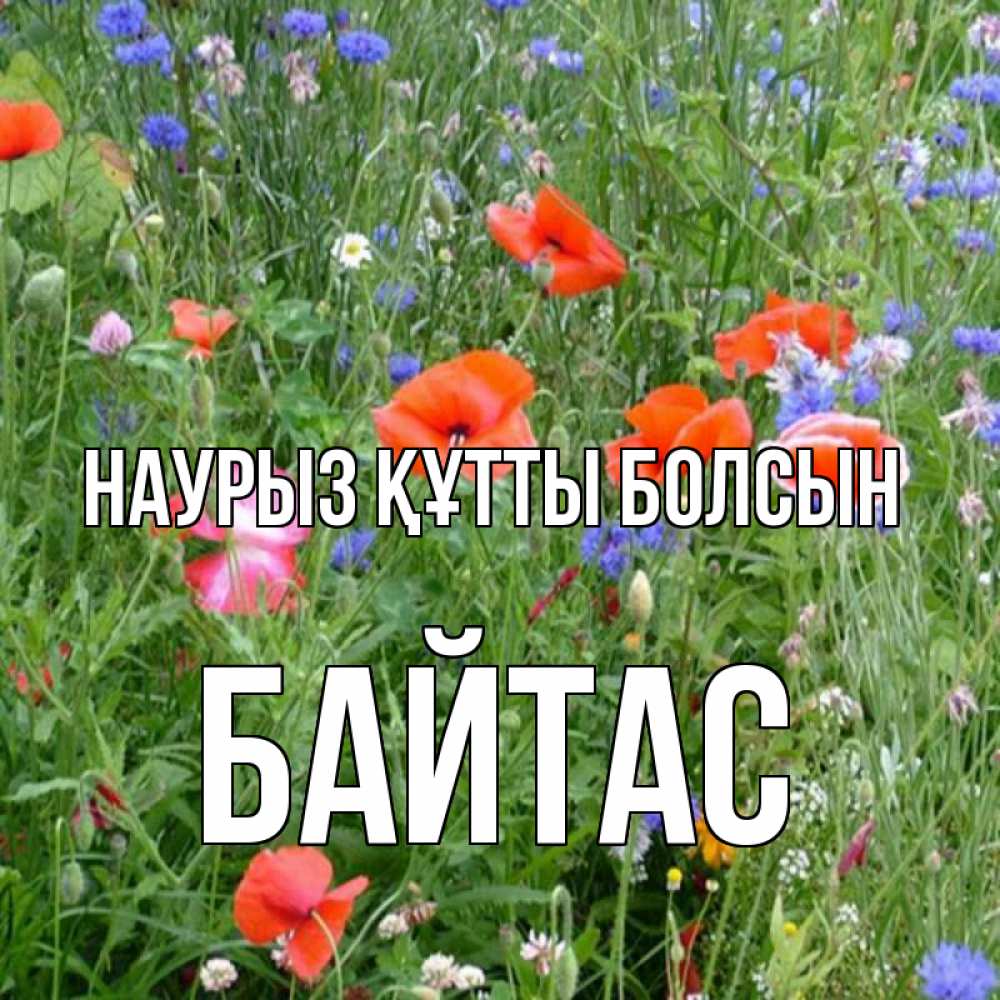 Күн сайын ашық хат с именем, Байтас Наурыз құтты болсын наурыз  4 Онлайн тегін жүктеп алу тілектері бар керемет карта 
