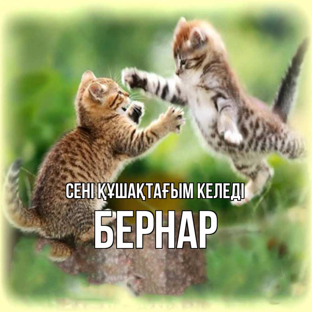 Күн сайын ашық хат с именем, Бернар сені құшақтағым келеді игры котят Онлайн тегін жүктеп алу тілектері бар керемет карта 