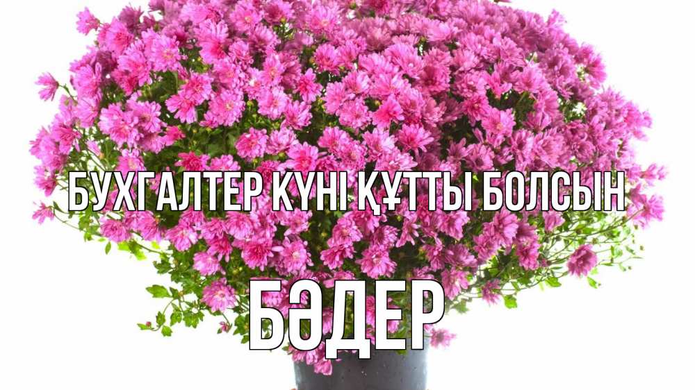 Күн сайын ашық хат с именем, БӘДЕР бухгалтер күні құтты болсын с днем бухгалтера Онлайн тегін жүктеп алу тілектері бар керемет карта 