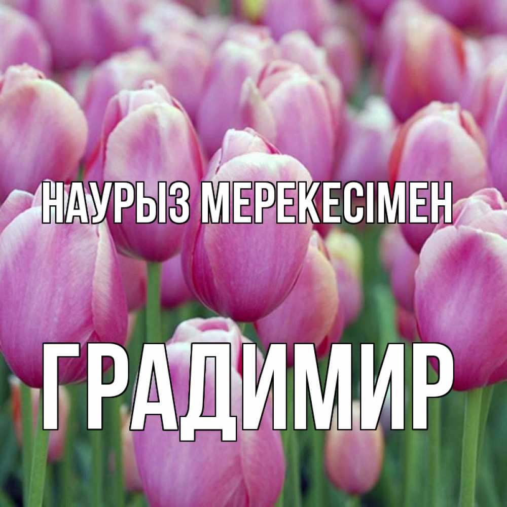 Күн сайын ашық хат с именем, Градимир Наурыз мерекесімен праздник весны наурыз 69 Онлайн тегін жүктеп алу тілектері бар керемет карта 